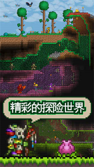 泰拉瑞亚1.4.4.9手机版