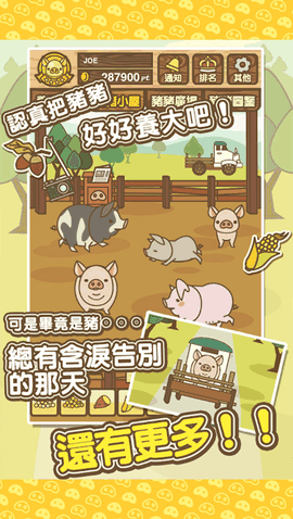 养猪场mix最新版本