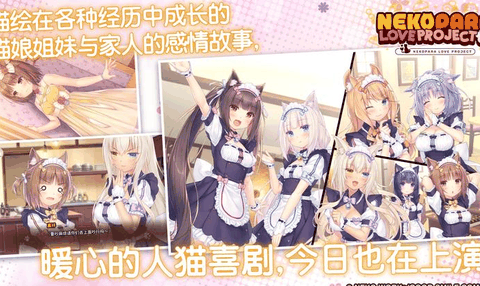 猫娘乐园galgame游戏下载