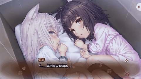 猫娘乐园galgame游戏下载