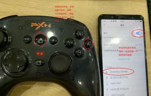 小鸡模拟器TV版最新版