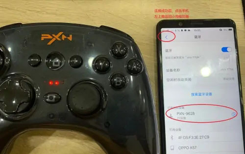 小鸡模拟器TV版最新版