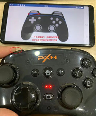 小鸡模拟器TV版最新版