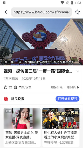 熊猫浏览器手机版