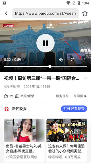 熊猫浏览器手机版
