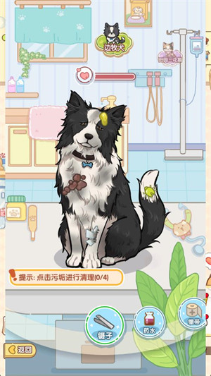 糖果猫2026最新版下载