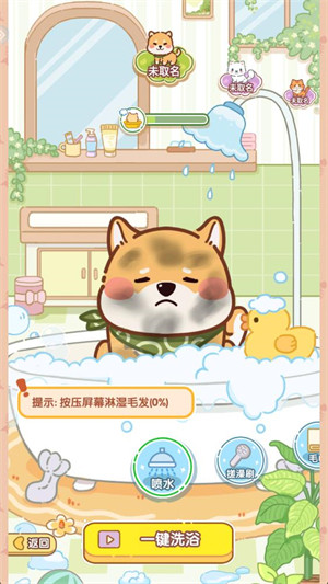 糖果猫2026最新版下载