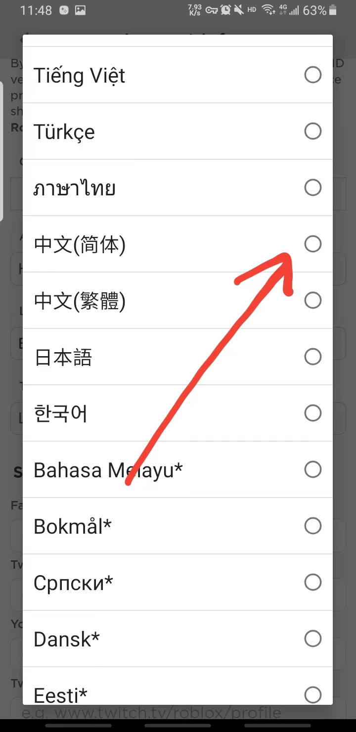 罗布乐思国际服2026最新版下载