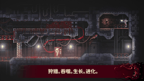 红怪游戏中文版