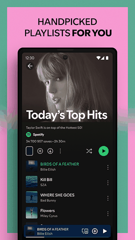 Spotify音乐播放器app中文版下载